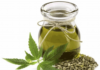 Hemp Oil Benefits and Uses – Skin, Hair & Pain Relief Hemp Oil
