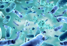 The Complete Guide on Probiotics: Foods, Supplements, Gut Health Advice Probiotics