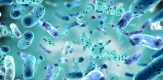 The Complete Guide on Probiotics: Foods, Supplements, Gut Health Advice Probiotics