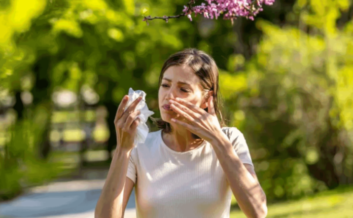 Seasonal Allergy Relief 2025