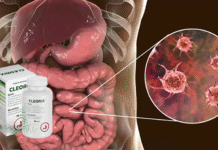 კლეროქსის კაფსულები: ნაწლავების ჯანმრთელობის გაუმჯობესება და პარაზიტებთან ბრძოლა Cleorix-Capsules