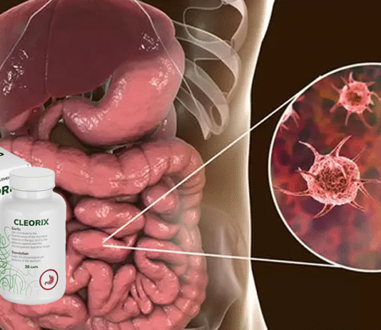 კლეროქსის კაფსულები: ნაწლავების ჯანმრთელობის გაუმჯობესება და პარაზიტებთან ბრძოლა Cleorix-Capsules